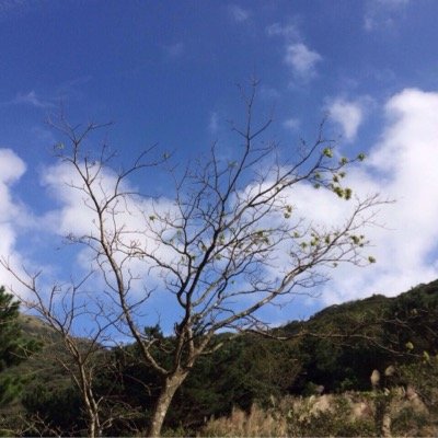 ChangOxbridge's profile picture. Come and enjoy the genuine bubble tea, probably the best in London.