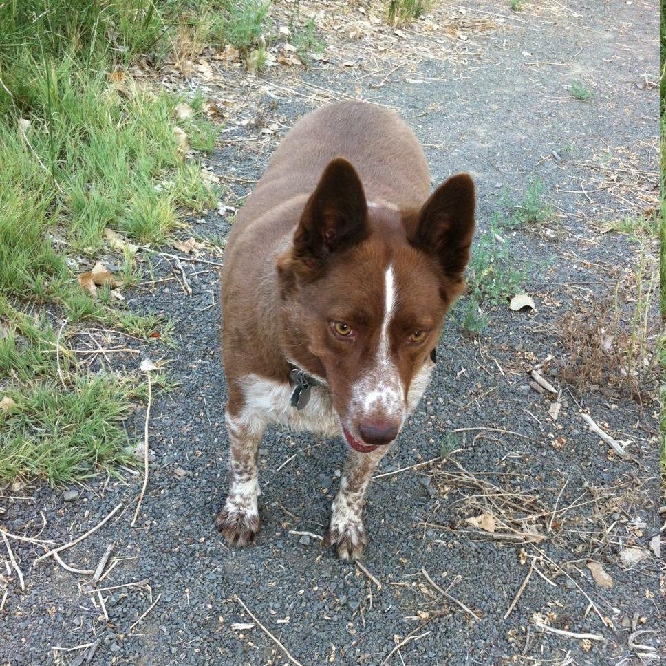 pgfossum's profile picture. Makes a wicked grilled cheese, proud parent, pizza expert, loves the SF Giants, and always learning something new.