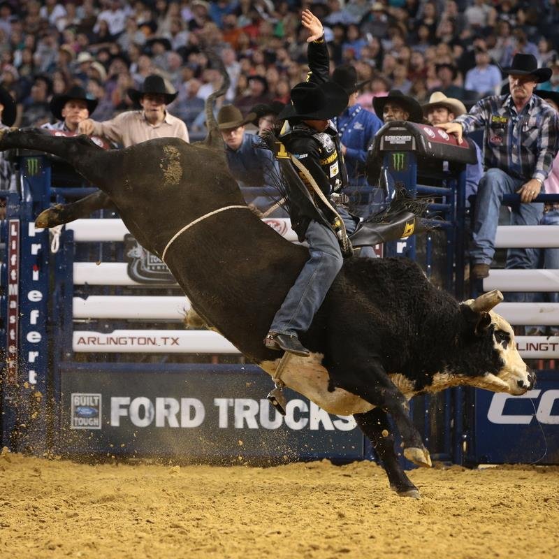 wolfcreekcattle's profile picture. Professional Stock Contractors for the PBR, PRCA, and IPRA