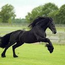 julie leclair - @julieleclair22 - Twitter