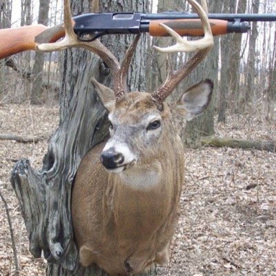 sue_meyer2014's profile picture. im a big hunter person and always will be