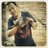 alfanardiana's profile image