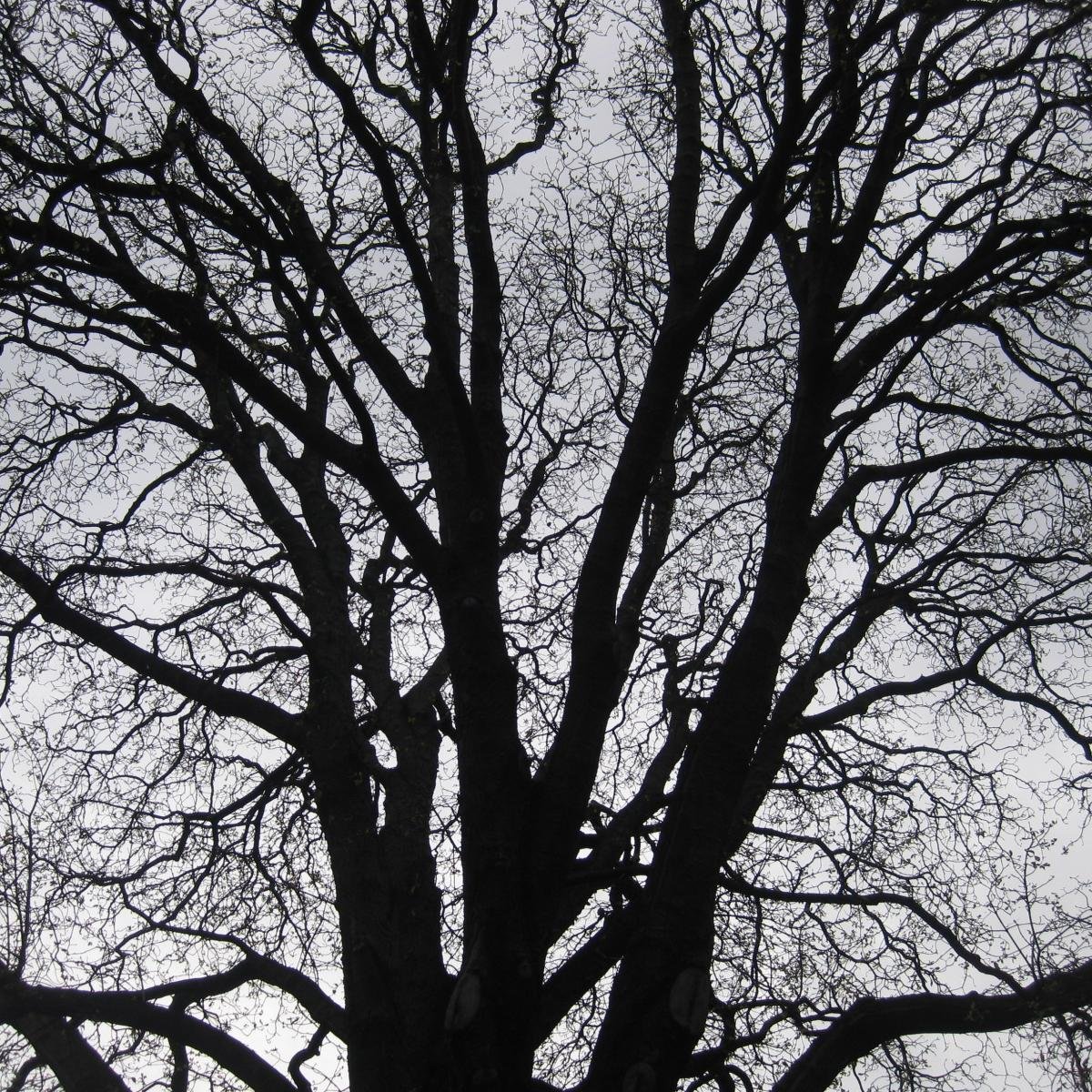 evamiq's profile picture. LA VERDAD PEQUEÑA TIENE GRANDES PALABRAS, LA GRAN VERDAD UN GRAN SILENCIO.