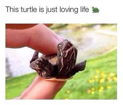 NZsLOWmO's profile picture. 