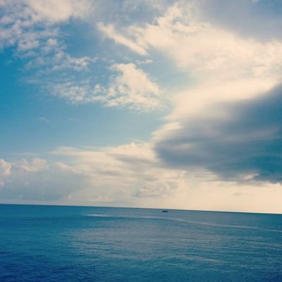eliza_leeyoyo's profile picture. 