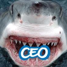 Got a Shark in your company? Here's where we tweet about them! CEO Sharks and life outside of the tank. Join the real sharks! By Loui