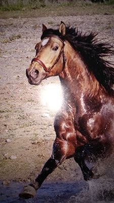 AlvarezfMara's profile picture. 