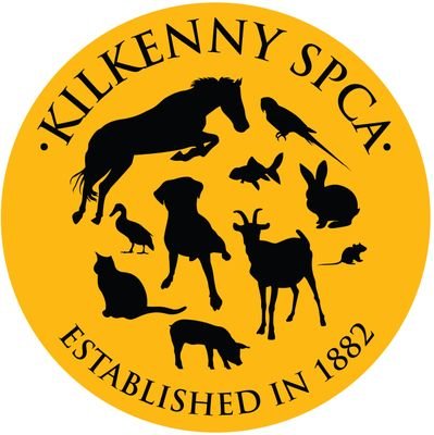 Our aim is to improve the welfare of all animals, domestic & wild throughout Kilkenny. Registered Charity Number: 20004545