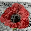 linda preston-todd - @lptmpt181106 - Twitter