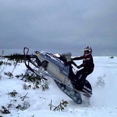 CuffMarcus's profile picture. LOOK AT ALL DOSE CHICKENS