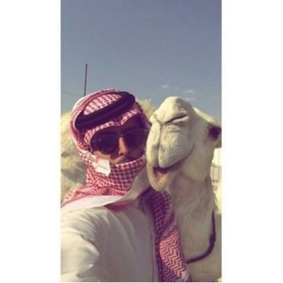 ‏‏‏‏‏‏‏تخيل انك قريت شئ بطل بدل من البايو