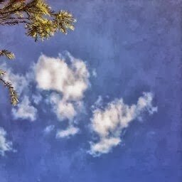 david_nesh's profile picture. A Husband and father