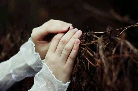 ‏‏‏‏‏‏‏‏# الحرية_للمعتقلين  #القصاص_للشهداء #المنصورة #أي فرحة دون الجنة ❤منقوصة #تكليف