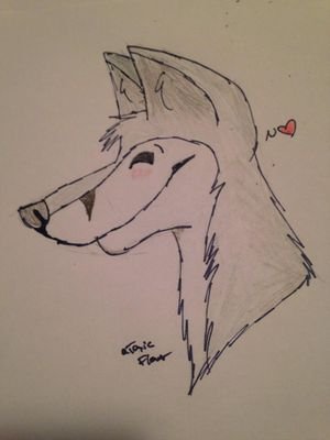 Gamer/ Doodler/ Very shy and cautious/
Surviving day to day/Needing affection/
Open to new furs/ 30yrs old /Furry bun bun