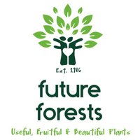 Future Forests (@futureforests) 's Twitter Profile