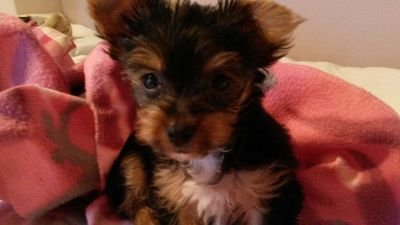 cl_vdnest3's profile picture. 