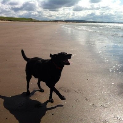 angiew891's profile picture. 