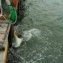 mark shaffer - @golfm02 - Twitter