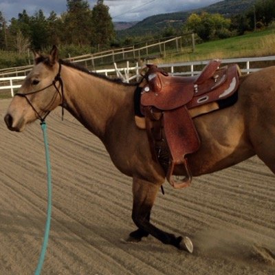 bebca78's profile picture. Life is simple if you just live happy.