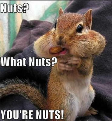 Frisco_nut's profile picture. 