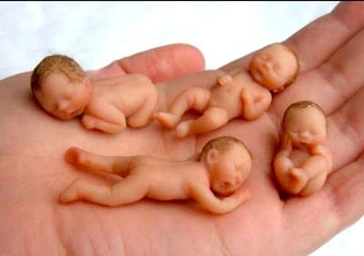 dadadandinistan's profile picture. 