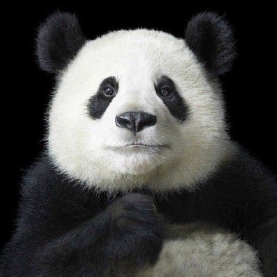 niluferkuyel's profile picture. Founder @luciddreamenter