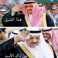اللهم احفظ آل سعود (@ah2022ha) 's Twitter Profile