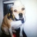 Elvis Valentin - @valentine6261 - Twitter