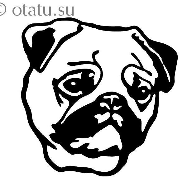 maksfrom2324's profile picture. 