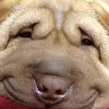 Hi there! Wanna know funny internet news everyday? please visit my website. Thank you!