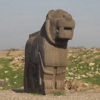 Mònica (@mggavara) 's Twitter Profile Photo