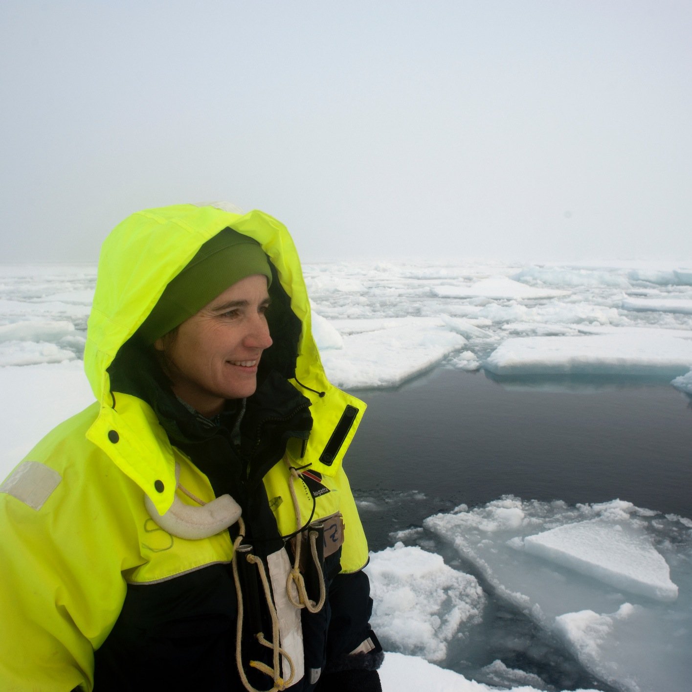 Atmospheric scientist, University of Washington, Researching sea ice-climate-wildlife connections