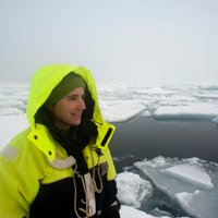 Cecilia Bitz (@drseaice) 's Twitter Profile