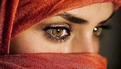 FinalCollection's profile picture. 