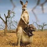 Hi there! Wanna know funny internet news everyday? please visit my website. Thank you!