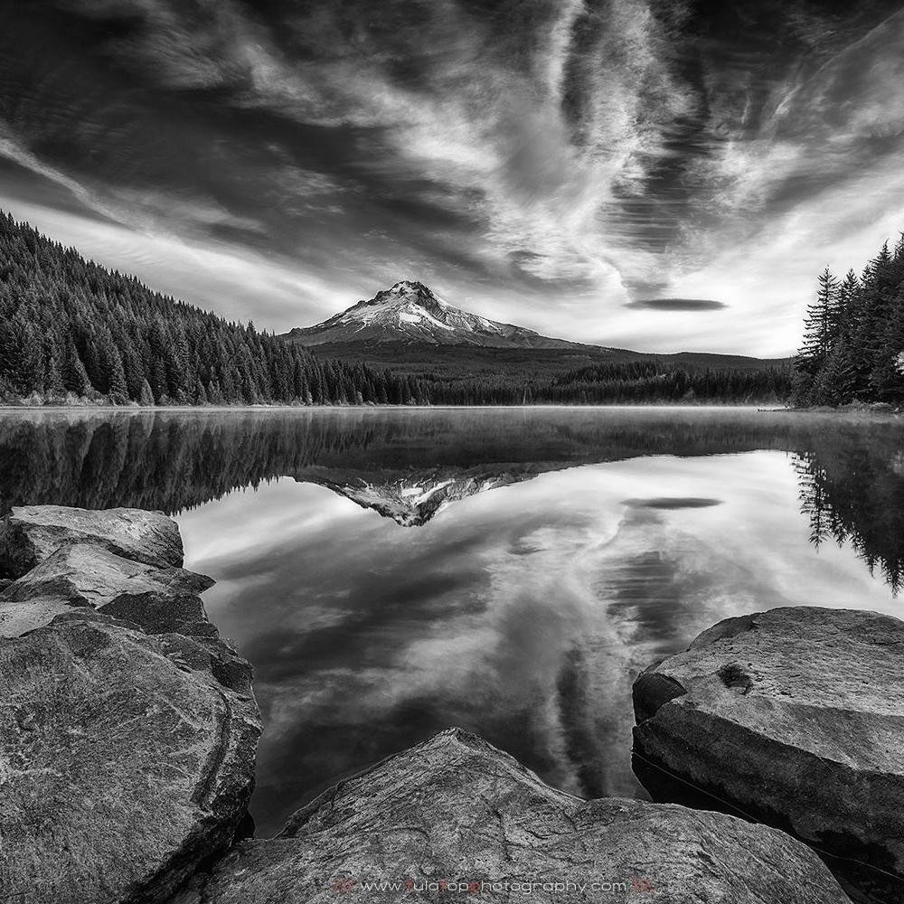 lobnas's profile picture. 