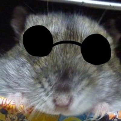 こはむはむ