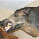 casey roe - @CaseyRoe - Twitter