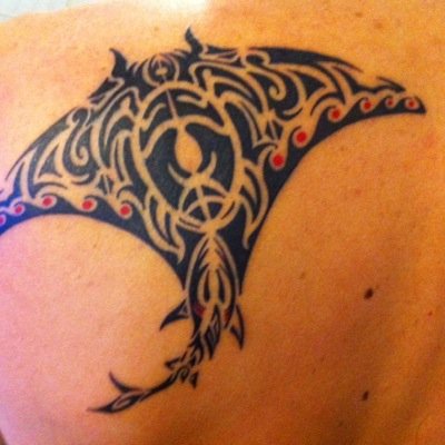 hpalmasaez's profile picture. Médico Veterinario, Rugby Coach, Soñador, Librepensador, Nacido en el Wallmapu,Chileno 🇨🇱 en Australia 🇦🇺