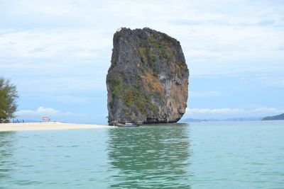 negrepelli's profile picture. 