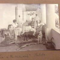 Wendy (@wendydixon972) 's Twitter Profile