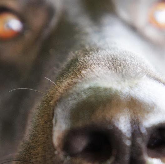 MrGameWarden's profile picture. 