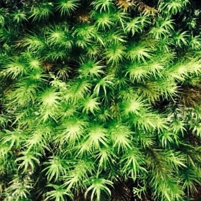 四季が豊かな、美しい日本に生まれたことに感謝。
青山繁晴さんと、日本の尊厳と国益を護る会を応援しています。