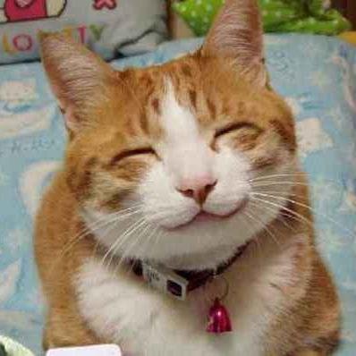 Hey! update trendy and fun news everyday. Please visit my website too!