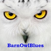 BarnOwlBlues (@barnowlblues) 's Twitter Profile
