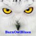 BarnOwlBlues (@barnowlblues) Twitter profile photo