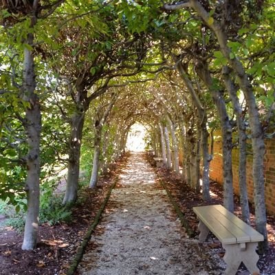 ColonialConnect's profile picture. Realtor with Abbitt Realty Co Williamsburg