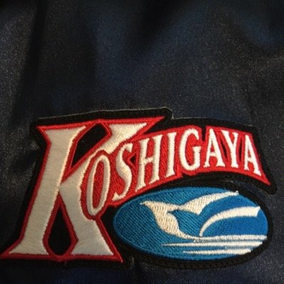越谷市少年野球交流会大会の状況をつぶやいていきます。