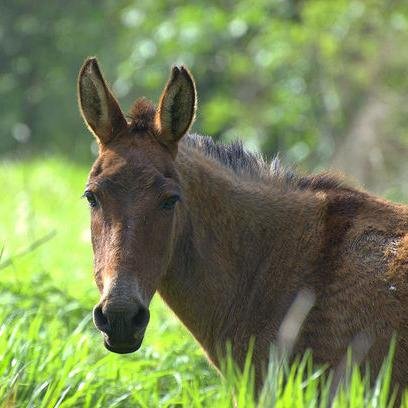 freeterlecturer's profile picture. フリーター講師という名前で活動していた今は亡きGROOVE LINEを愛する元J-WAVEヘビーリスナー。北の島に移住したら、好きなラジオ番組が次々と終了・・最近のお気に入りはL。LHRも終わって・・と思っていたら、平日夜はTBSラジオ制作番組のヘビーリスナーに・・