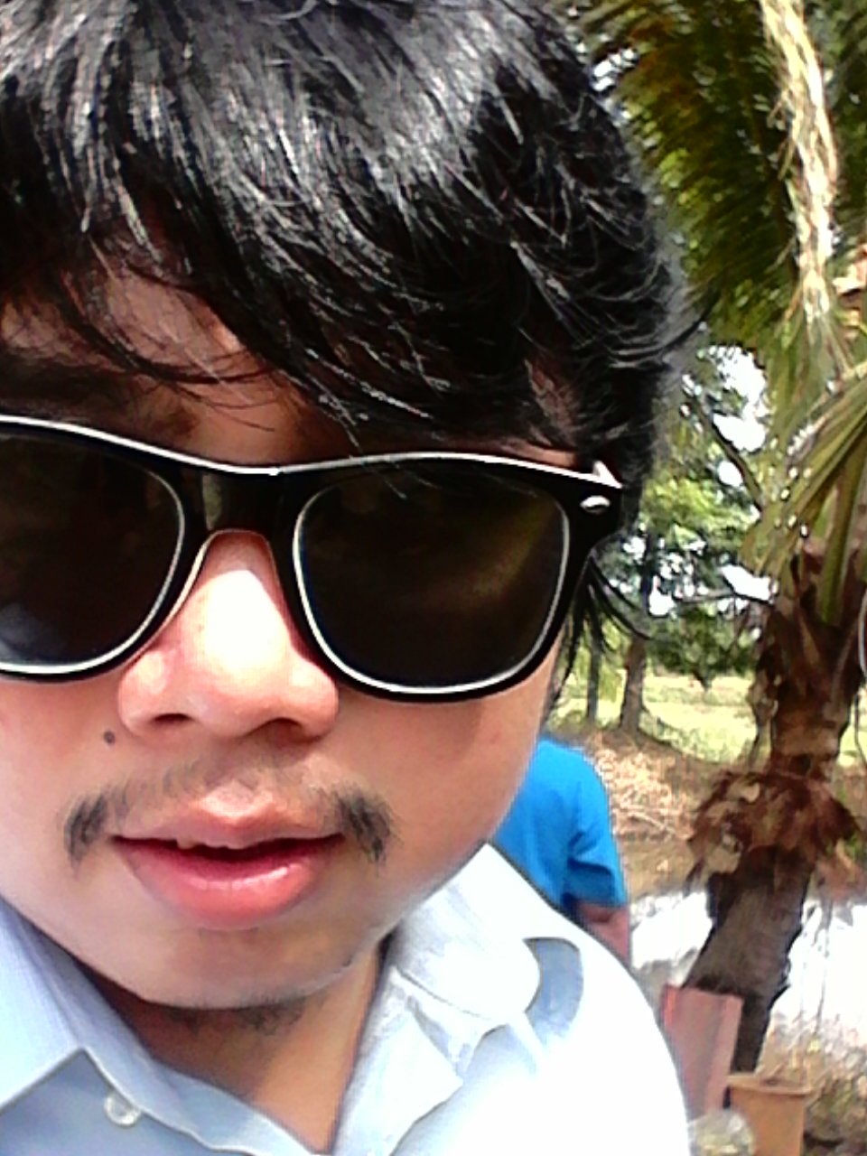 lion_ice's profile picture. 